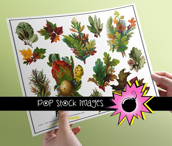 Victorian Diecut Foliage