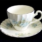 Johnson Brothers England Ironstone Regency Riviera Tea Cup Teacup & Saucer