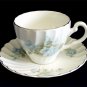 Johnson Brothers England Ironstone Regency Riviera Tea Cup Teacup & Saucer