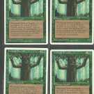Ironroot Treefolk x4 - NM - 4th Edition - Magic the Gathering