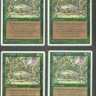 Carnivorous Plant x4 - NM - 4th Edition - Magic the Gathering