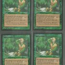 Undergrowth x4 NM Alliances