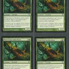 Flowering Lumberknot x4 NM Avacyn Restored