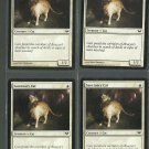Sanctuary Cat x4 NM Dark Ascension Magic the Gathering
