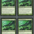 Forced Adaption x4 NM Gatecrash Magic the Gathering