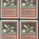 Dragon Whelp x4 NM Revised Magic the Gathering