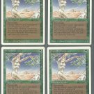 Shanodin Dryads x4 - NM - Revised - Magic the Gathering