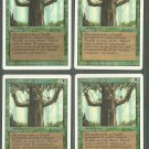 Ironroot Treefolk x4 - NM - Revised - Magic the Gathering