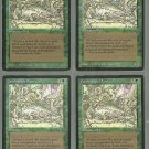 Carnivorous Plant x4 VG The Dark Magic the Gathering