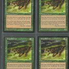 King Cheetah x4 NM Visions Magic the Gathering