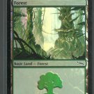 Forest - NM - Foil - Mirrodin - Magic the Gathering