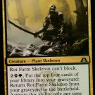 Rot Farm Skeleton - NM - Dragons Maze - Magic the Gathering