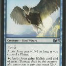 Arctic Aven - NM - Magic 2013 - Magic the Gathering