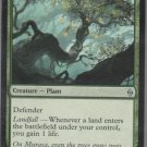 Jaddi Offshoot - NM - Battle for Zendikar - Magic the Gathering