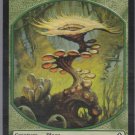 Plant - NM - Worldwake - Magic the Gathering