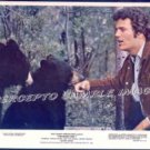 The BEARS AND I ~  '74 Color WALT DISNEY Movie Photo ~ PATRICK WAYNE