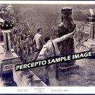 TARZAN'S JUNGLE REBELLION ~ Ex-Cond '70 Movie Photo ~ RON ELY / JUNGLE BEEFCAKE
