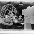 PINOCCHIO and THE BLUE FAIRY ~ 1940 Original R84 WALT DISNEY CARTOON Movie Photo ~ Growing Nose