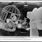 PINOCCHIO and THE BLUE FAIRY ~ 1940 Original R84 WALT DISNEY CARTOON Movie Photo ~ Growing Nose