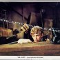 WILLARD 1971 ~ Original COMPLETE SET OF 8 Lobby Cards ~ ERNEST BORGNINE / ELSA LANCHESTER