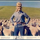 The BALLAD OF JOSIE ~ Original '68 Western Movie Photo ~ DORIS DAY and SHEEP