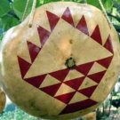 Gourd Planter #301b
