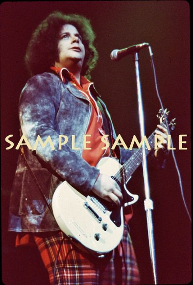 MOUNTAIN Leslie West 1970's Concert Photo Size 8x12