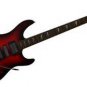 Leach Enterprises has a Electric Guitar for Sale Online