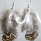 Peacock Feather Ear Rings 1
