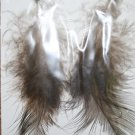 Peacock Feather Ear Rings 2
