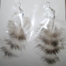 Peacock Feather Ear Rings 6