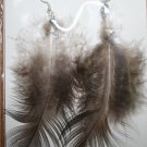 Peacock Feather Ear Rings 7