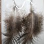 Peacock Feather Ear Rings 7
