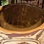 Universal Studios Exclusive Jurassic Park Wide Ceramic Mug New