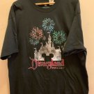 DISNEYLAND RESORT EXCLUSIVE SLEEPING BEAUTY CASTLE AND FIREWORKS SHIRT SMALL