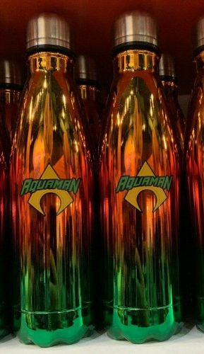 Six Flags Magic Mountain Dc Comics Aquaman Double Walled Water Bottle New