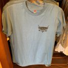 DISNEY PARKS CARS LAND RADIATOR SPRINGS MENS SHIRT US 66 (MEDIUM) NEW
