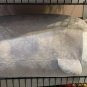 Six Flags Magic Mountain Looney Tunes Bugs Bunny 24" Large Tube Plush New