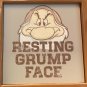 DISNEY PARKS EXCLUSIVE GRUMPY RESTING GRUMP FACE MENS GREEN T-SHIRT X-LARGE