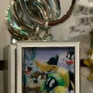 Six Flags Magic Mountain Looney Tunes Bugs Bunny & Friends Metal Keychain New