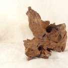MID CENTURY MAGNIFICENT PIECE DRIFTWOOD MAINE COAST LAMP BASE AQUARIUM DECOR