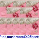 Pine mushroom  face mask pack 40 sheets