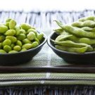 HEIRLOOM NON GMO Midori Giant Soy Bean 25 seeds