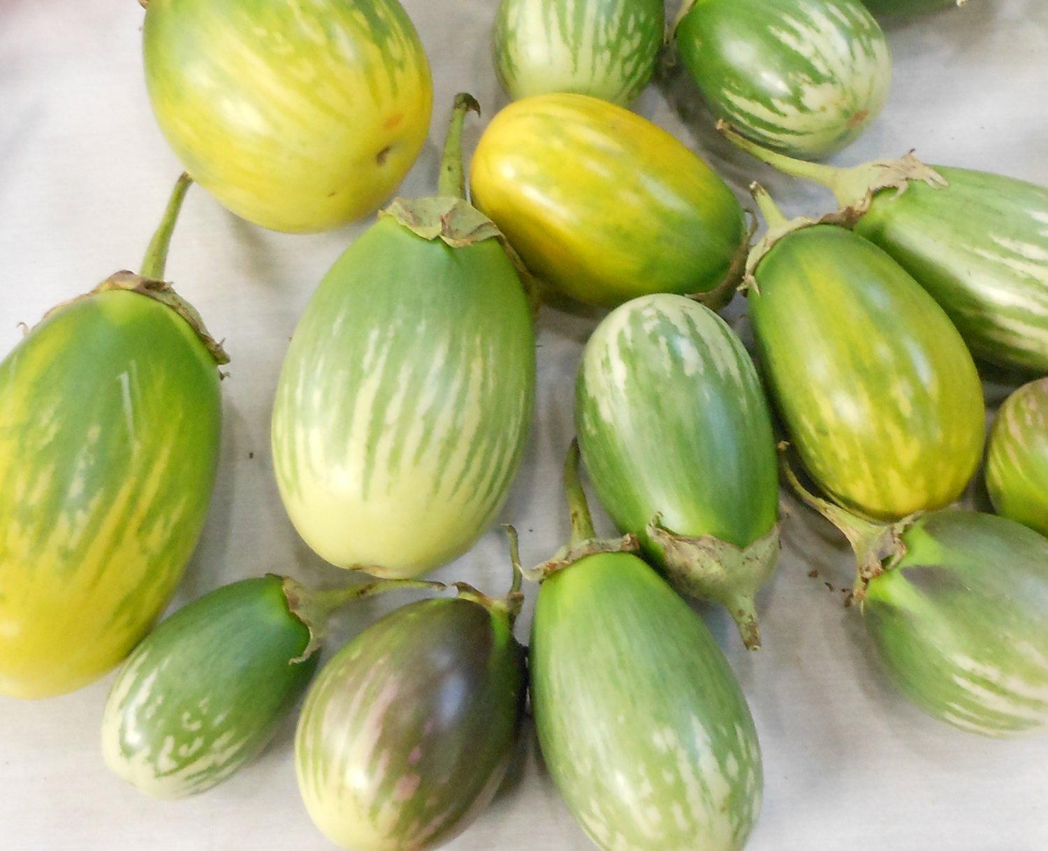 HEIRLOOM NON GMO Arumugam's Eggplant 25 seeds