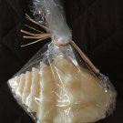 Pottery Barn Ivory Natural Sea Shell Conch Candle 4" TALL 14 hrs burn NEW NWT