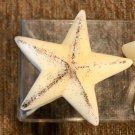 Pier 1 Star Glitter Floating Wax Paraffin Candles White Ivory New NWT 4 in Lot 2 Pier 1 Star Glitter Floating Wax Paraffin Candles White Ivory New NWT 4 in Lot 2