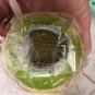 Pottery Barn Easter Egg Shape Candles Lot Bundle 2 40Hrs each 80 hrs New NWT