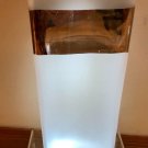 Pier 1 Hand Painted Frosted Glass Vase Large Gorgeous 12" x 5" TALL New NWT Pier 1 Hand Painted Frosted Glass Vase Large Gorgeous 12" x 5" TALL New NWT