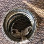 Cache 6 Lot Bundle Bronze tone Bangle bracelets multi size and embellishment New