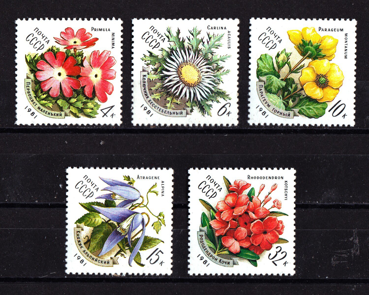 Flowers mnh set of 5 stamps 1981 Russia 49437